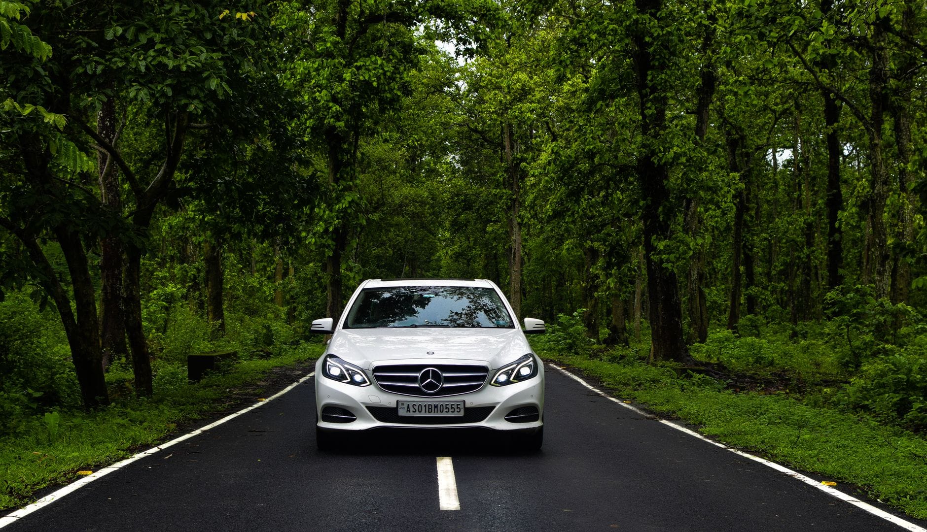 Samochód Mercedes jedzie leśną, zieloną drogą w Indiach